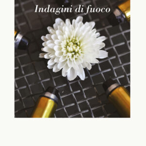 Libro Indagini di fuoco di Maria Rosaria Sodano - ean 9788825536850 - Aracne