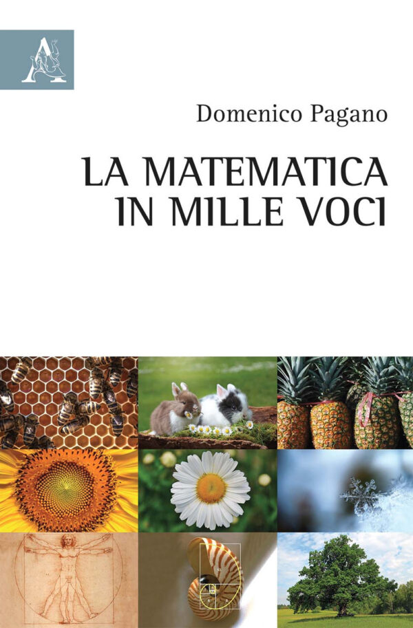 Libro matematica in mille voci di Domenico Pagano - ean 9788825536935 - Aracne