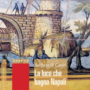 Libro luce che bagna Napoli di Barbara Di Castri - ean 9788825539240 - Aracne