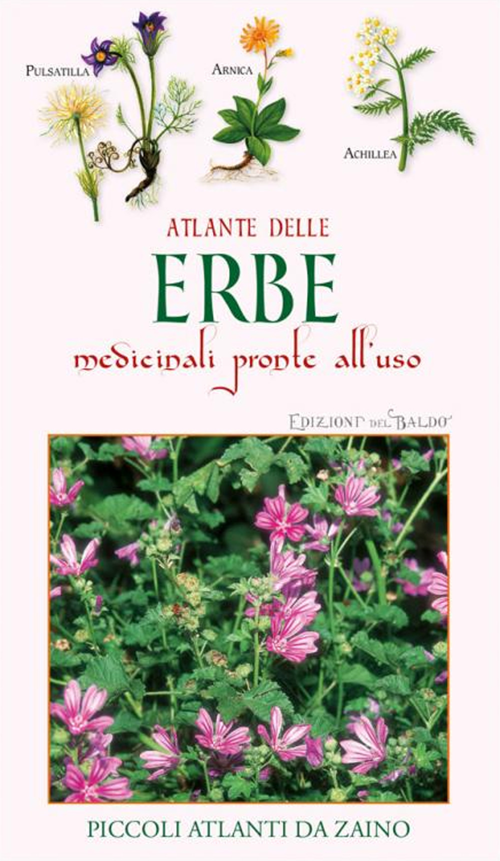 Libro Atlante delle erbe medicinali pronte all'uso di Paola Mancini - ean 9788826208800 - Edizioni del Baldo