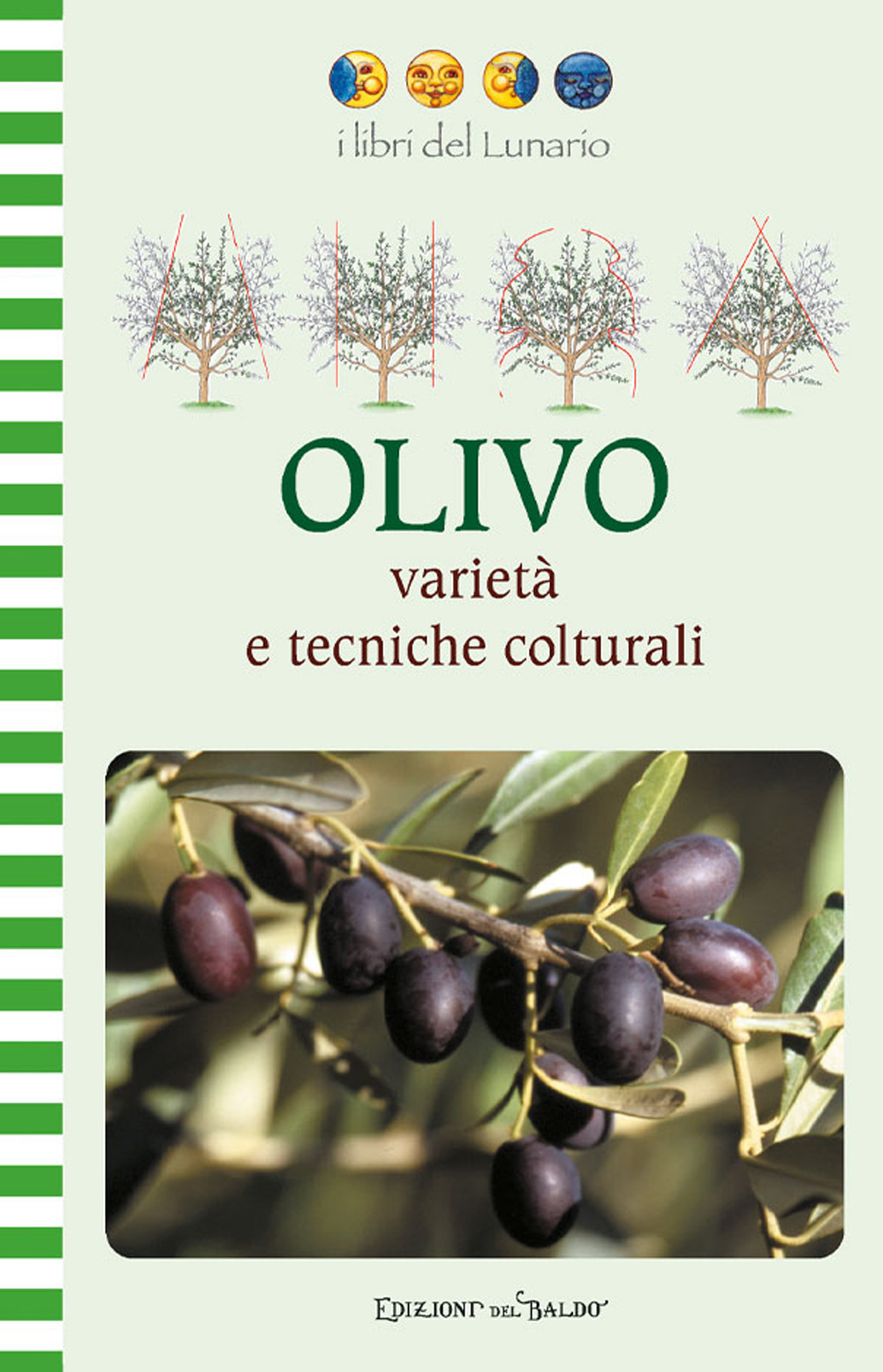 Libro Olivo varietà e tecniche colturali di Nilla Turri - ean 9788826209722 - Edizioni del Baldo