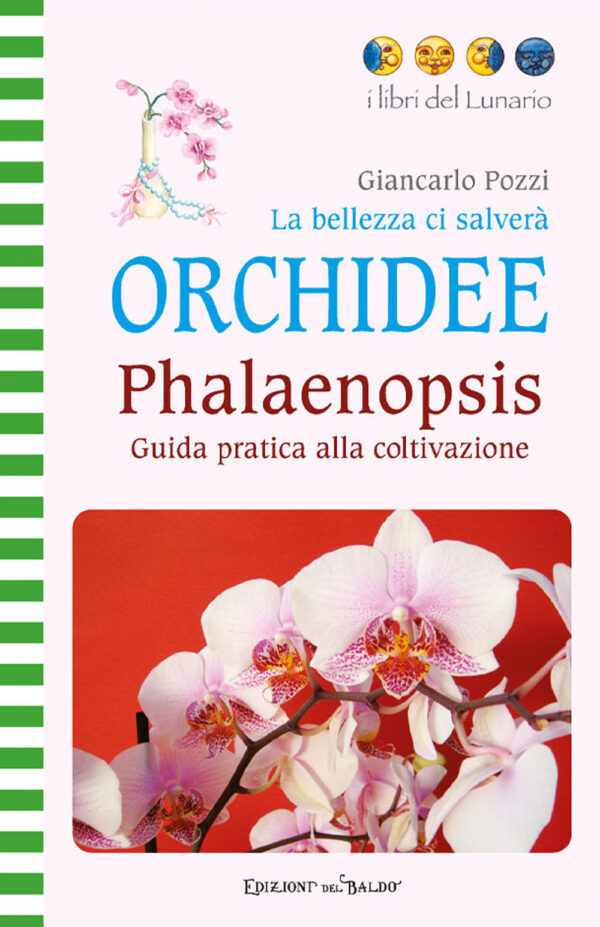Libro bellezza ci salverà. Orchidee. Phalaenopsis di Giancarlo Pozzi - ean 9788826209746 - Edizioni del Baldo
