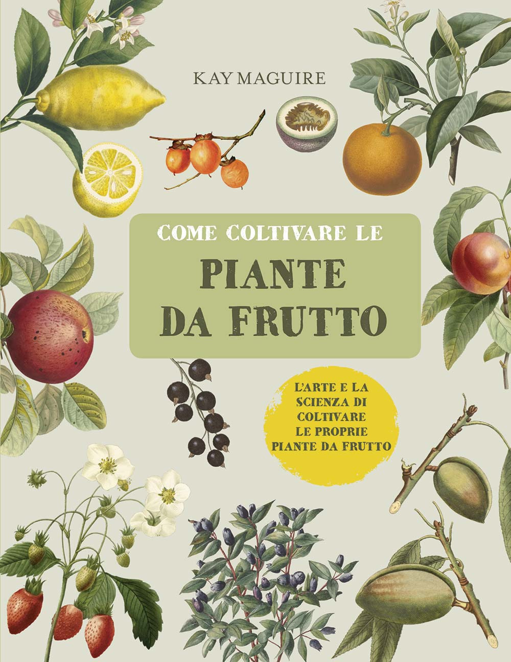 Libro Come coltivare le piante da frutto di Kay Maguire - ean 9788827600870 - Il Castello