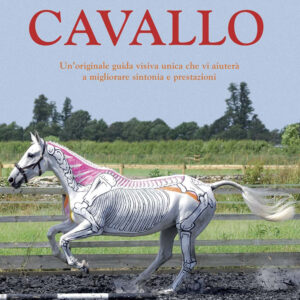 Libro Conoscere i movimenti del cavallo di Gillian Higgins; Stephanie Martin - ean 9788827601310 - Il Castello