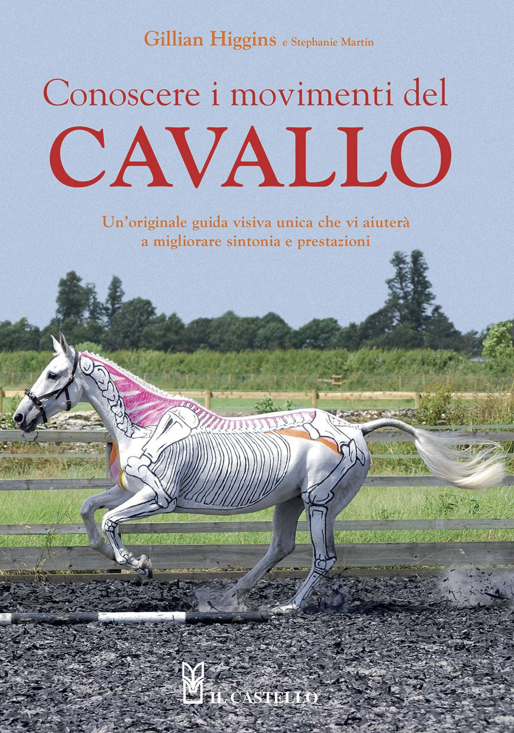 Libro Conoscere i movimenti del cavallo di Gillian Higgins; Stephanie Martin - ean 9788827601310 - Il Castello