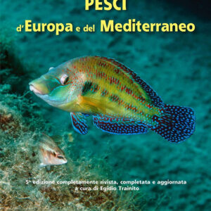 Libro Guida all'identificazione dei pesci marini d'Europa e del Mediterraneo di Patrick Louisy - ean 9788827601365 - Il Castello