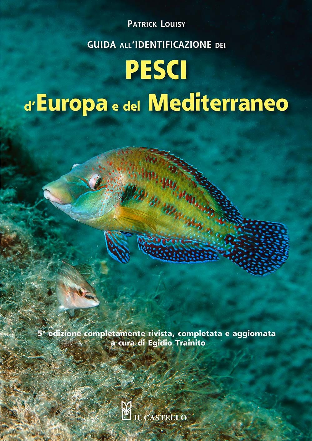 Libro Guida all'identificazione dei pesci marini d'Europa e del Mediterraneo di Patrick Louisy - ean 9788827601365 - Il Castello