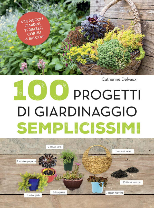 Libro 100 progetti di giardinaggio semplicissimi di Catherine Delvaux - ean 9788827601556 - Il Castello