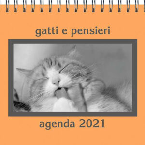 Libro Gatti e pensieri. Agenda 2021 di  - ean 9788827601723 - Il Castello