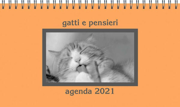 Libro Gatti e pensieri. Agenda 2021 di  - ean 9788827601723 - Il Castello