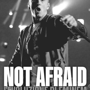 Libro Not afraid. L'evoluzione di Eminem di Anthony Bozza - ean 9788827602201 - Il Castello
