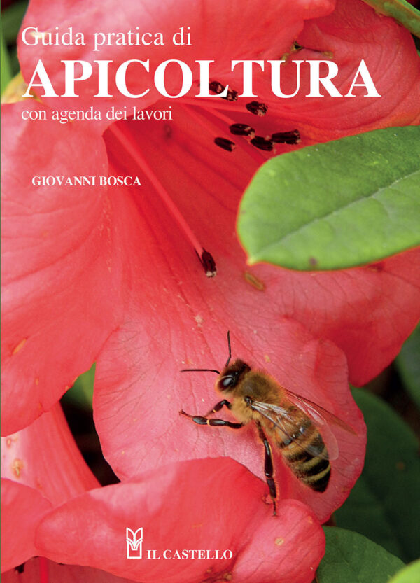 Libro Guida pratica di apicoltura. Con agenda dei lavori di Giovanni Bosca - ean 9788827602317 - Il Castello