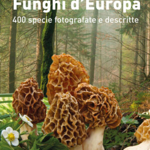 Libro Guida ai funghi d'Europa. 400 specie fotografate e descritte di Lillo La Chiusa - ean 9788827602331 - Il Castello