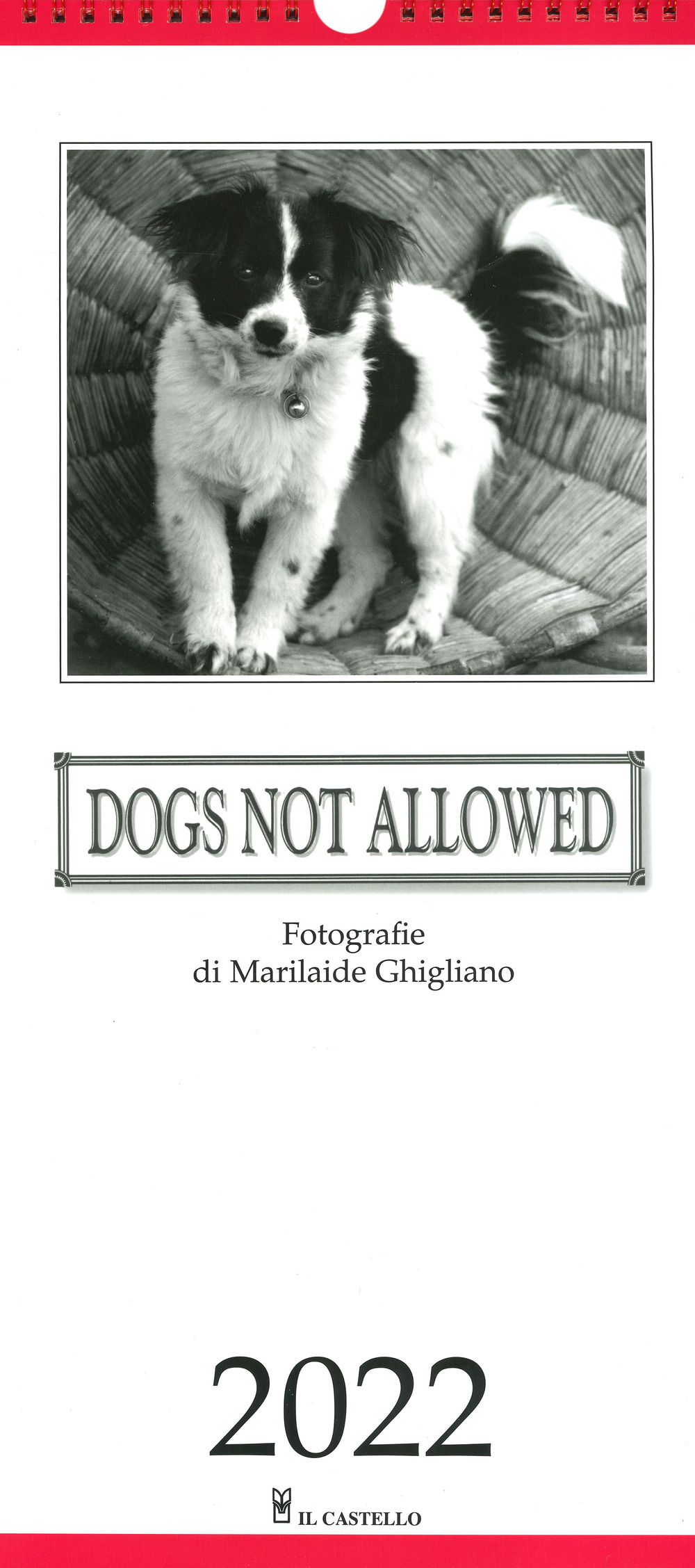 Libro Dogs not allowed. Calendario 2022 di - ean 9788827602423 - Il Castello