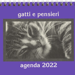 Libro Gatti e pensieri. Agenda 2022 di  - ean 9788827602454 - Il Castello