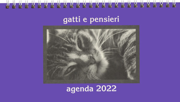 Libro Gatti e pensieri. Agenda 2022 di  - ean 9788827602454 - Il Castello