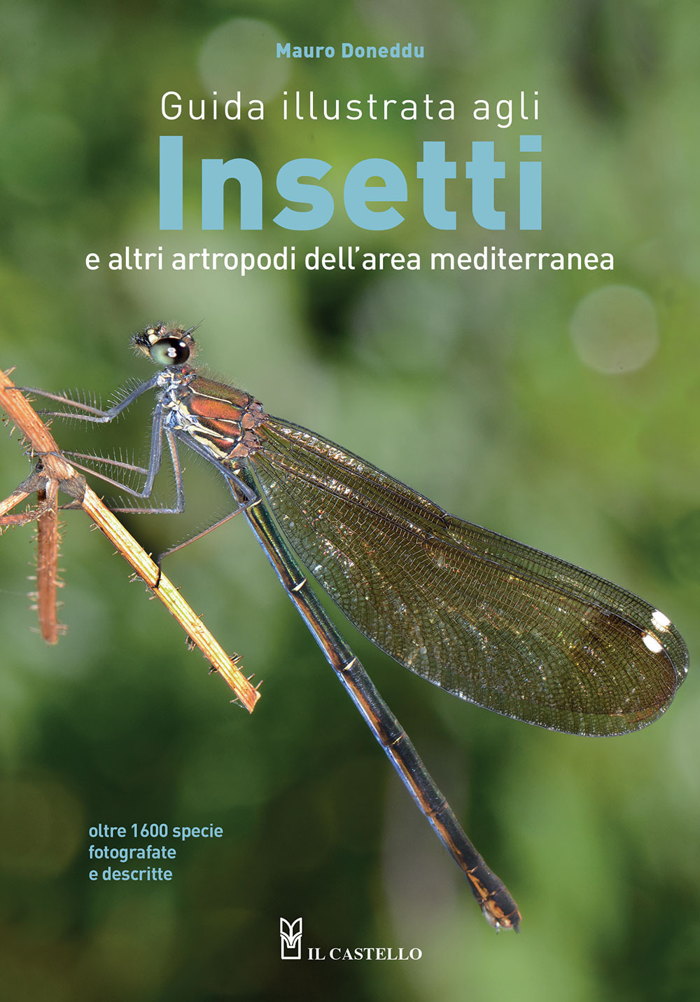 Libro Guida illustrata agli insetti e altri artropodi dell'area mediterranea di Mauro Doneddu - ean 9788827602485 - Il Castello
