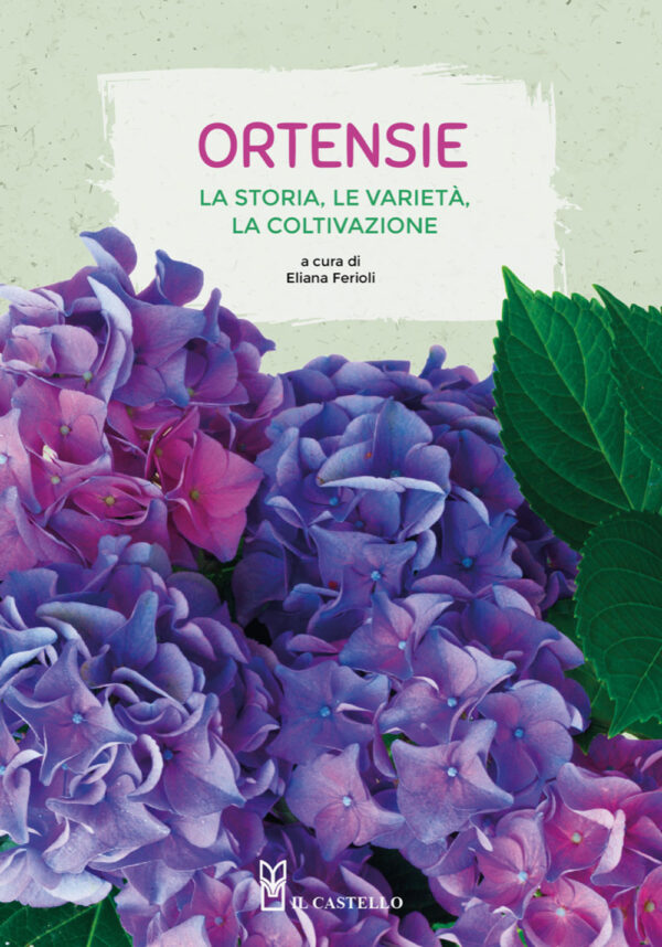 Libro Ortensie. La storia