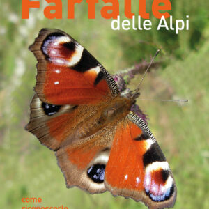 Libro farfalle delle Alpi. Come riconoscerle