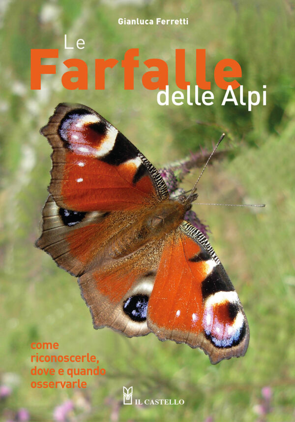 Libro farfalle delle Alpi. Come riconoscerle