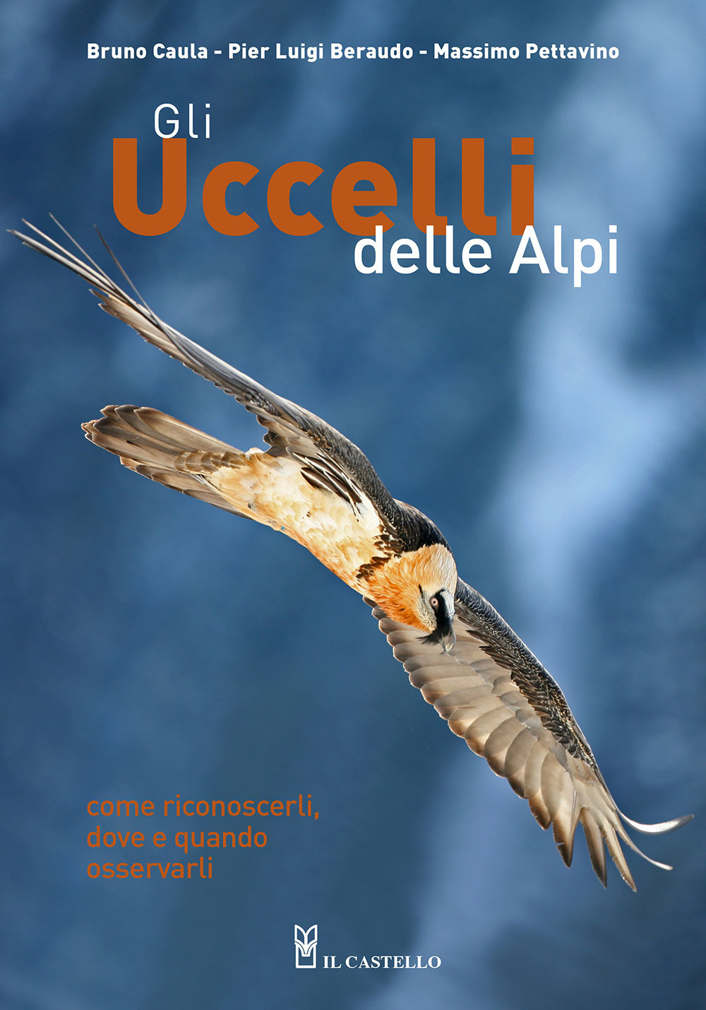 Libro uccelli delle Alpi. Come riconoscerli