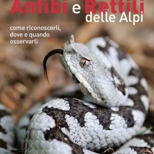 Libro anfibi e rettili delle Alpi. Come riconoscerli