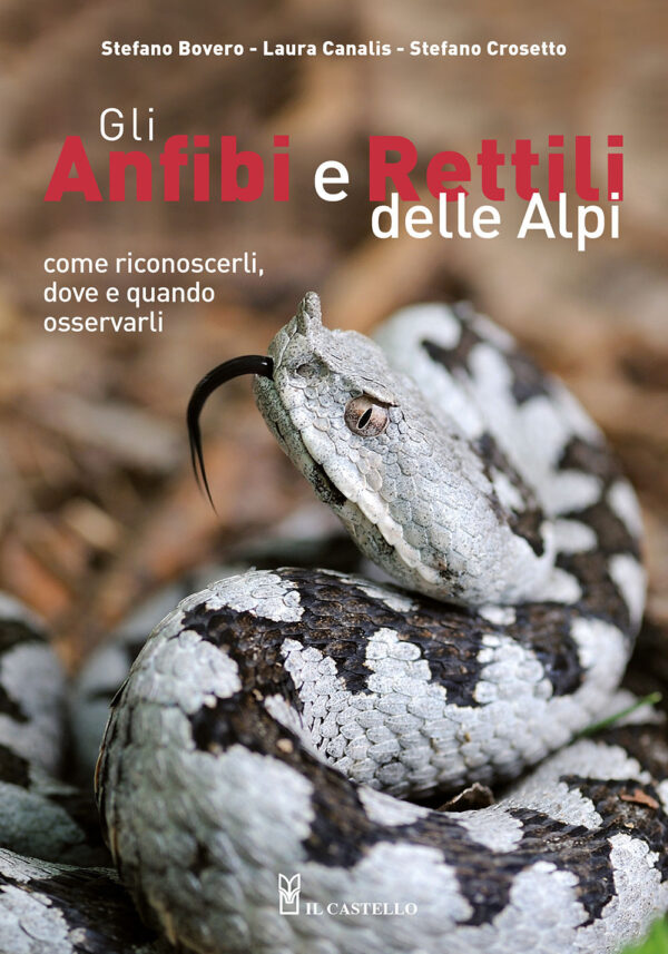 Libro anfibi e rettili delle Alpi. Come riconoscerli