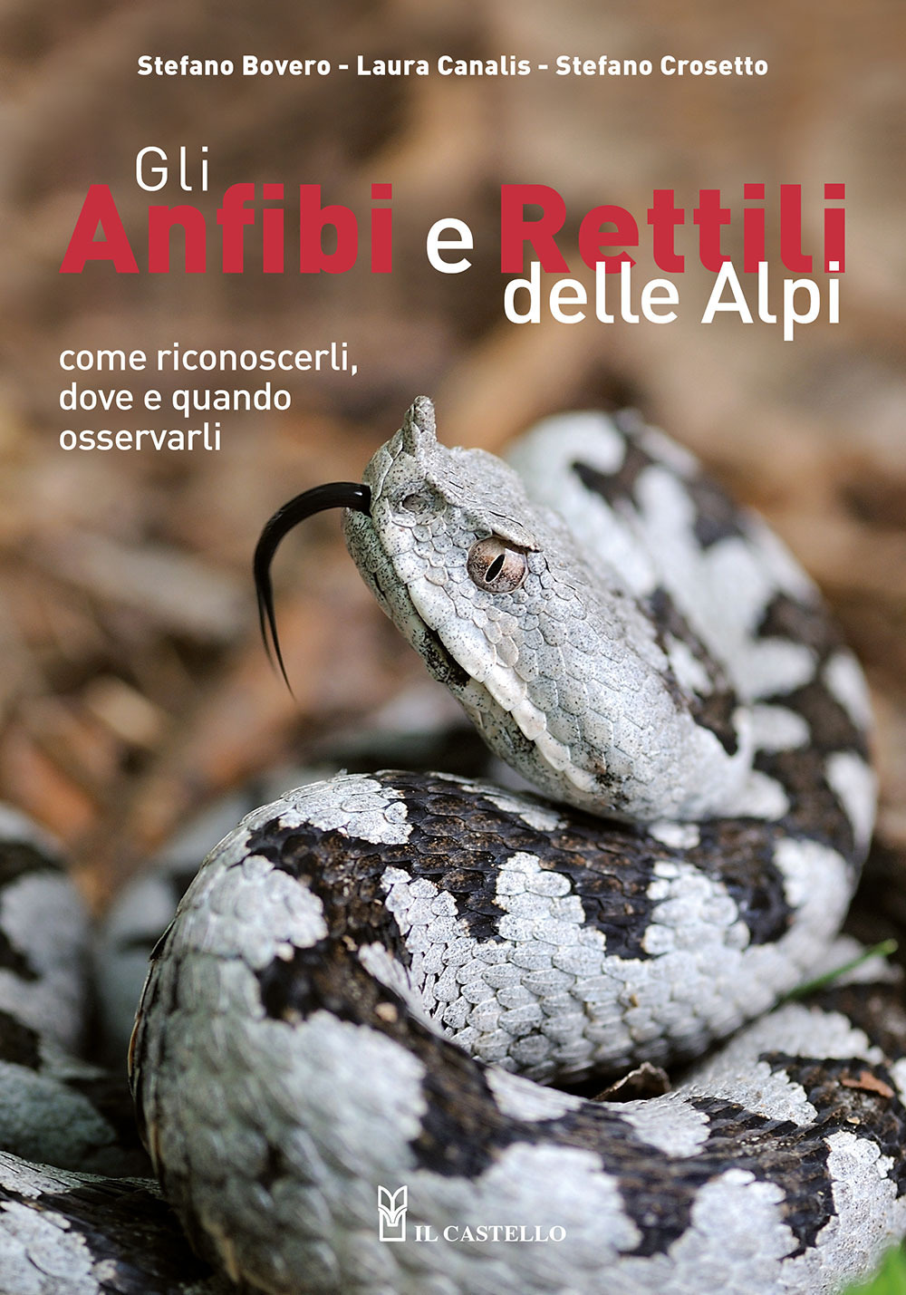 Libro anfibi e rettili delle Alpi. Come riconoscerli