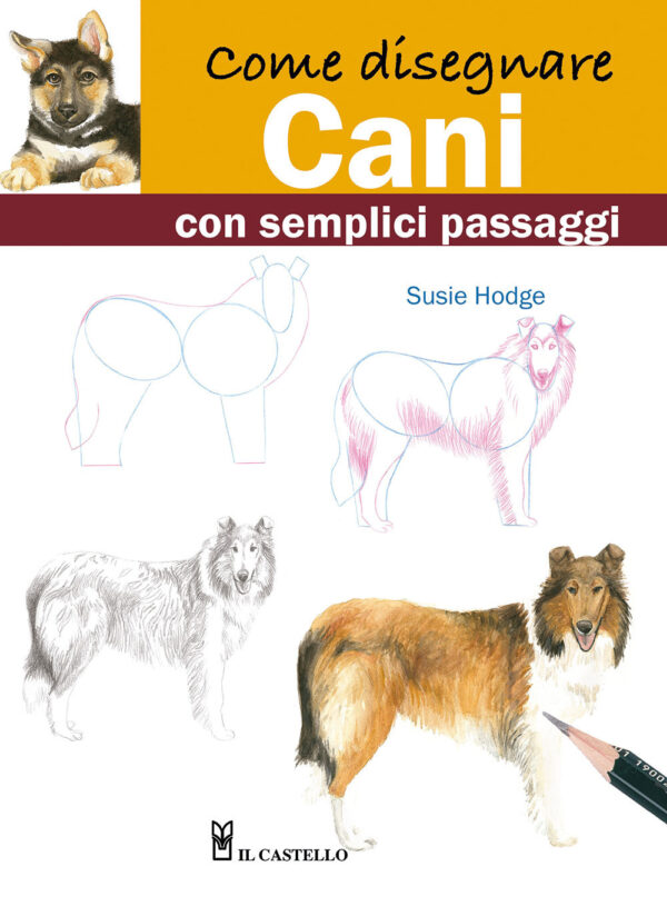 Libro Come disegnare cani con semplici passaggi di Susie Hodge - ean 9788827603277 - Il Castello