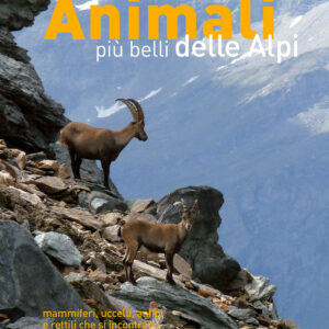 Libro animali più belli delle Alpi. Mammiferi