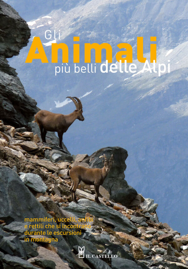 Libro animali più belli delle Alpi. Mammiferi