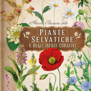 Libro Atlante illustrato delle piante selvatiche e degli infusi curativi di  - ean 9788827604427 - Il Castello