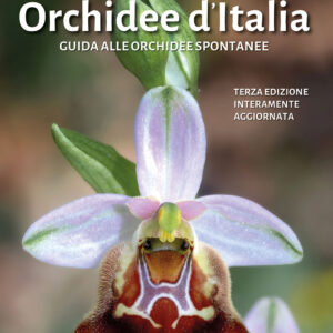 Libro Orchidee d'Italia. Guida alle orchidee spontanee di  - ean 9788827604472 - Il Castello