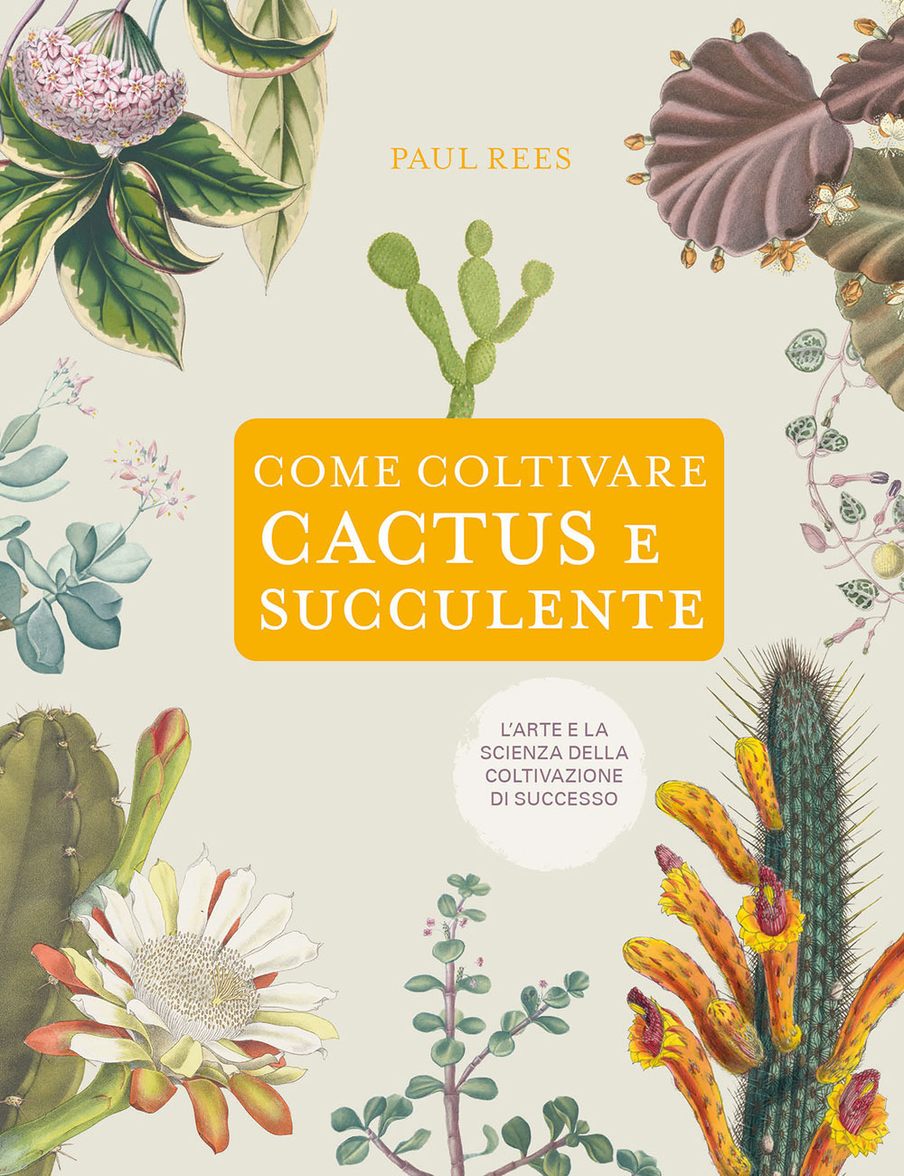 Libro Come coltivare cactus e succulente di Paul Rees - ean 9788827604984 - Il Castello