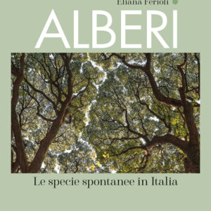 Libro Alberi. Le specie spontanee in Italia di Eliana Ferioli - ean 9788827605363 - Il Castello