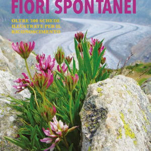 Libro Guida ai fiori spontanei di Eliana Ferioli; Massimo Lanza - ean 9788827605622 - Il Castello