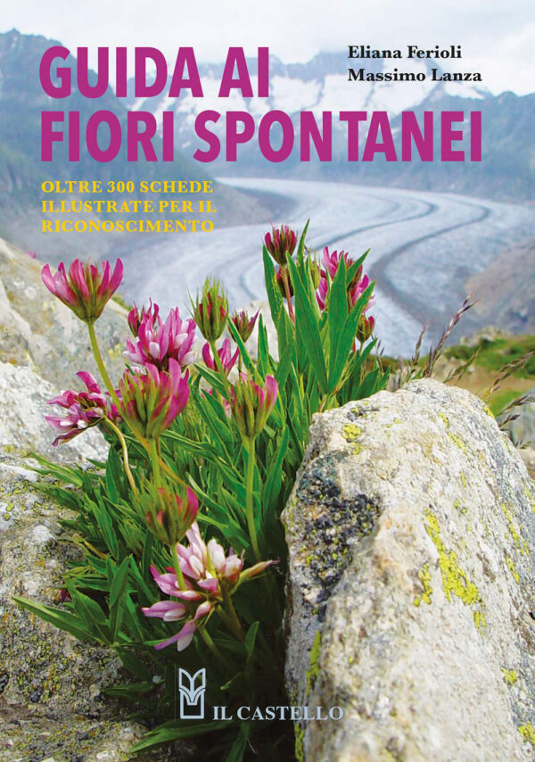 Libro Guida ai fiori spontanei di Eliana Ferioli; Massimo Lanza - ean 9788827605622 - Il Castello