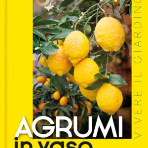 Libro Agrumi in vaso di Eliana Ferioli - ean 9788827605639 - Il Castello