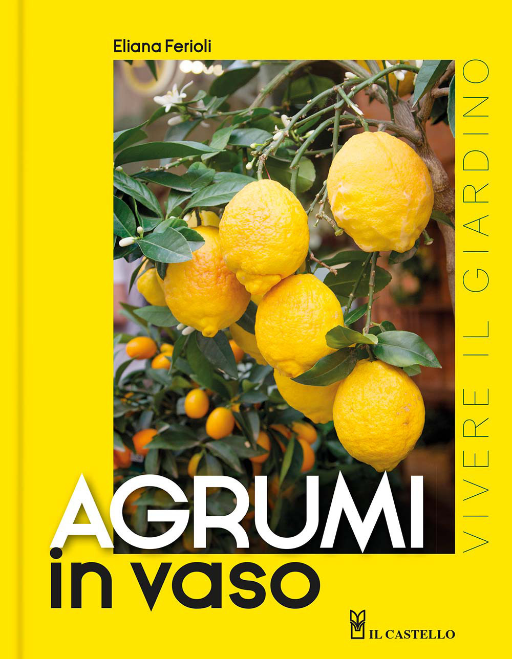Libro Agrumi in vaso di Eliana Ferioli - ean 9788827605639 - Il Castello