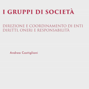 Libro gruppi di società. Direzione e coordinamento di enti. Diritti