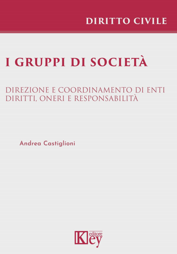 Libro gruppi di società. Direzione e coordinamento di enti. Diritti