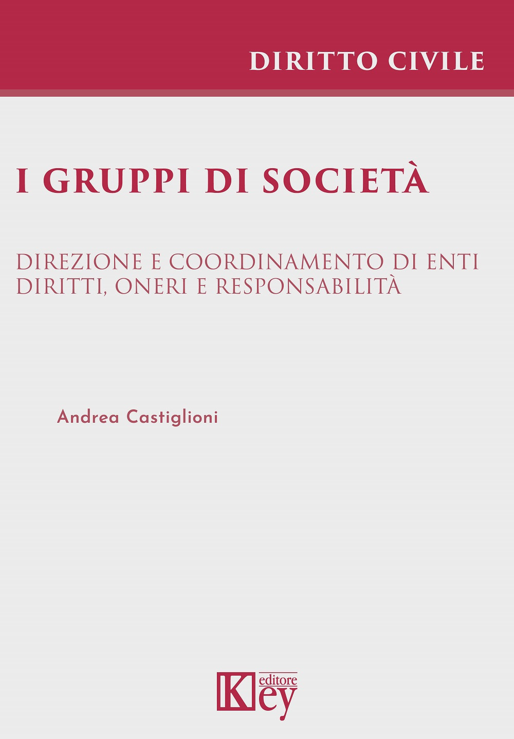 Libro gruppi di società. Direzione e coordinamento di enti. Diritti